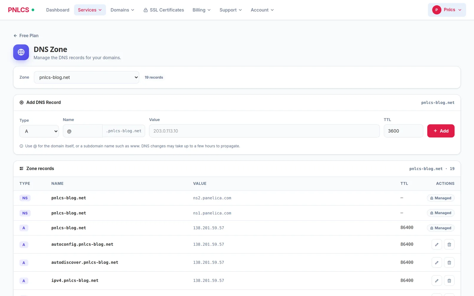 The DNS zone editor in the client portal