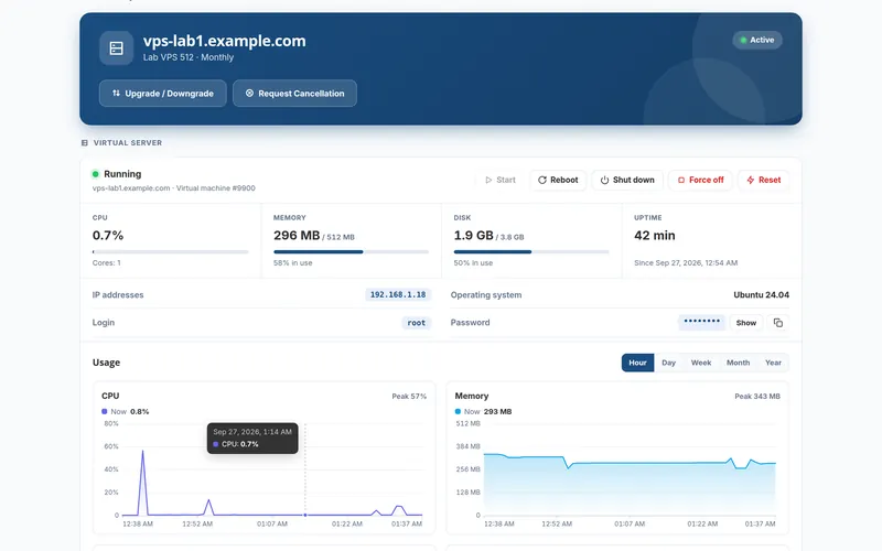 A virtual server in the client portal with power controls, live status and usage graphs