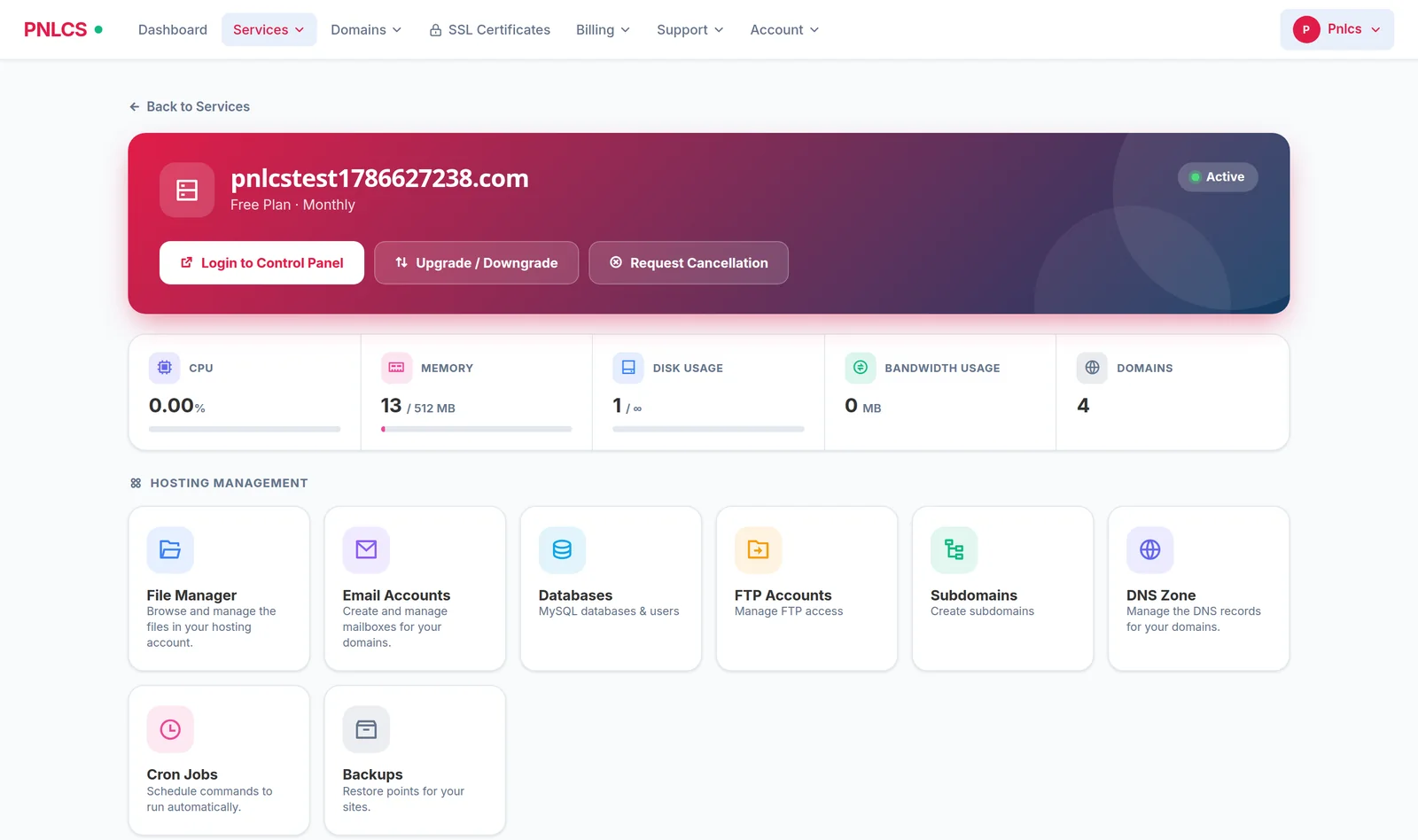 PNLCSの顧客ポータルのホスティングサービス画面：リアルタイムの使用状況と8つの管理ツール